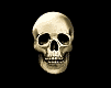 040322_skull[1].gif